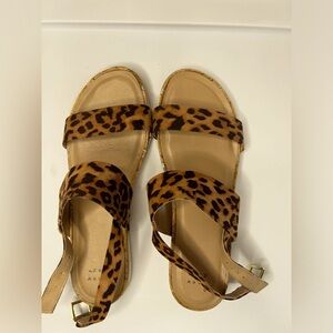 Leopard sandals 9.5